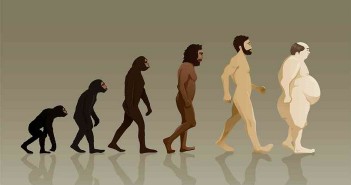Sabia que o orgão genital masculino também evolui?! evolução de darwin